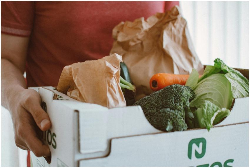 Person holding a box filled with fresh vegetables,