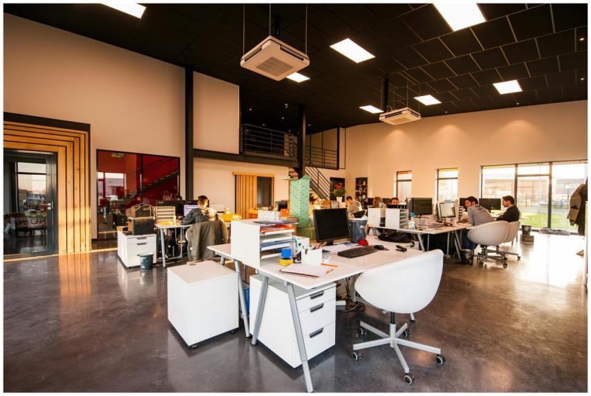 A spacious and modern open-plan office with natura