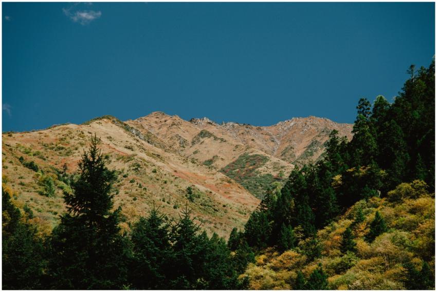 Scenic view of rugged mountain peaks and forest in