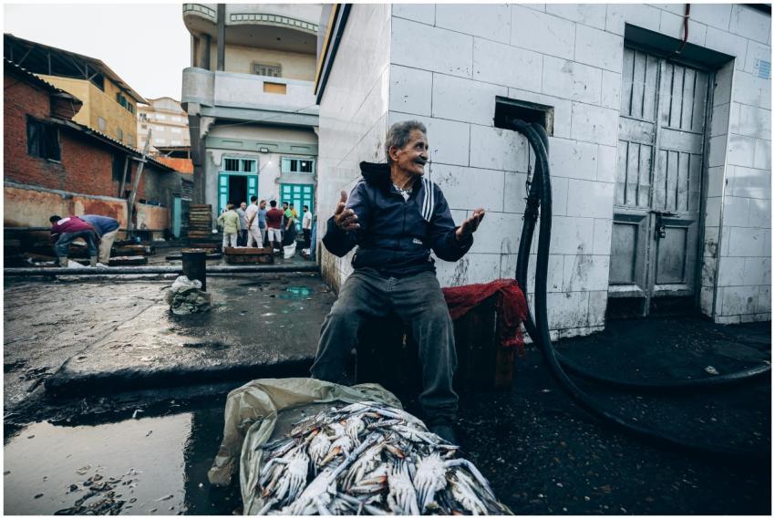 Free stock photo of award, background, beauty