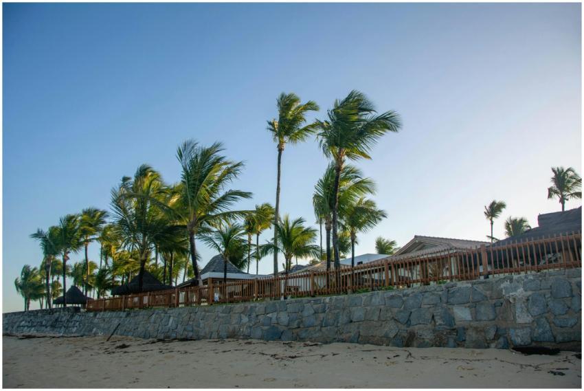 Palm trees and beach huts in a tropical setting in