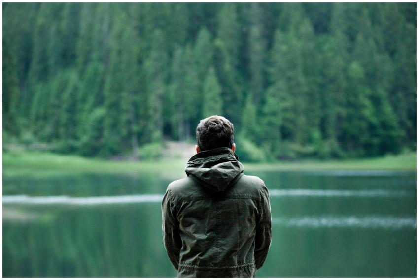 A person in a green jacket stands by a serene fore