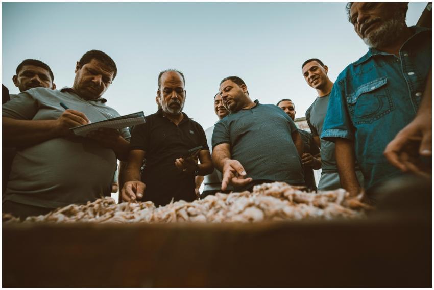 Free stock photo of 4k photos, action, adventure