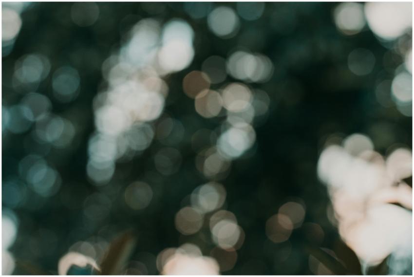 Abstract nature bokeh with warm tones creating a t