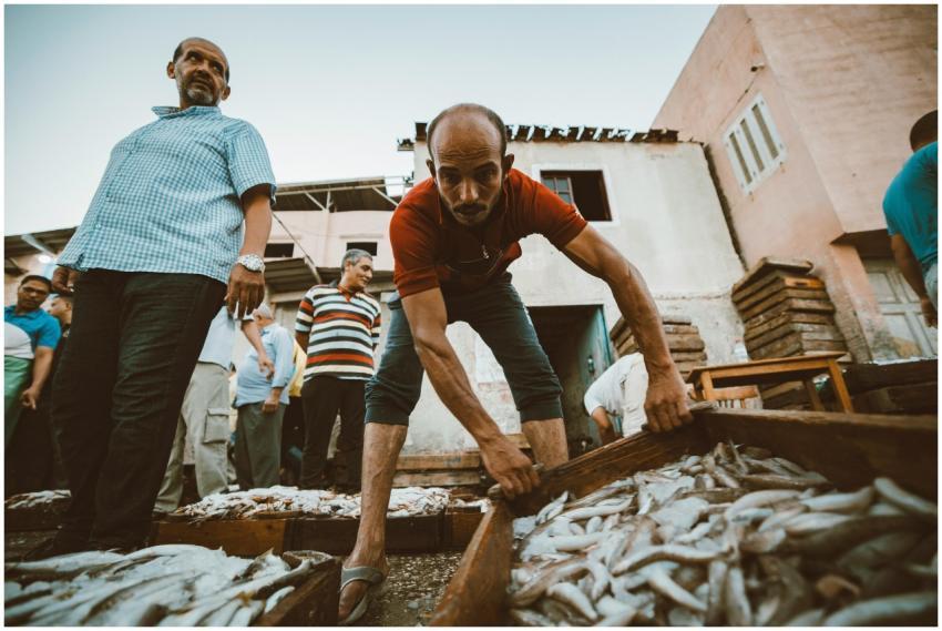 Dynamic Fish Market Scene