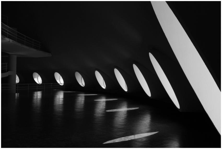 Black and white interior view of a modern architec