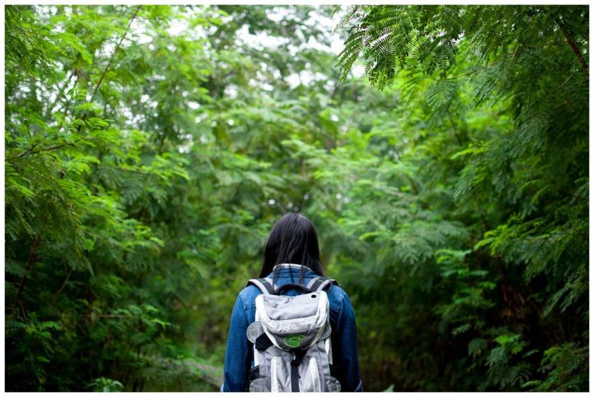 A young woman explores a lush forest trail in Guan