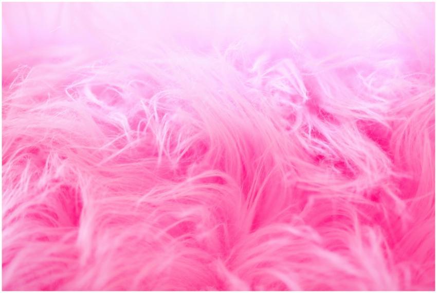 Detailed close-up of a vibrant pink fluffy texture