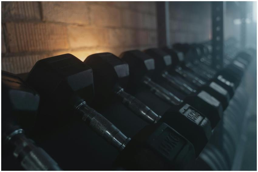 Close-up of dumbbells arranged on a rack in a diml