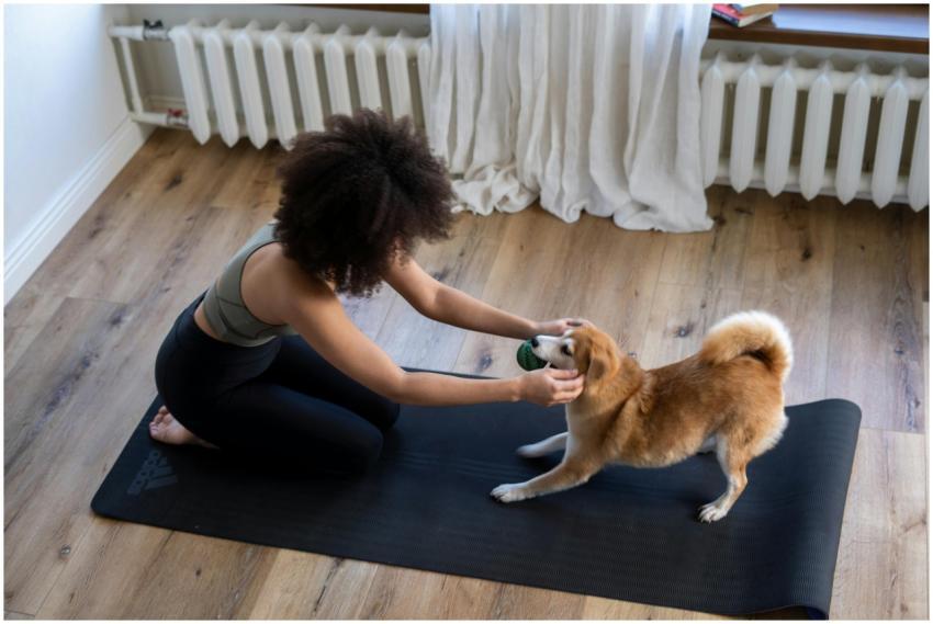 A woman practicing yoga on a mat with her Shiba In