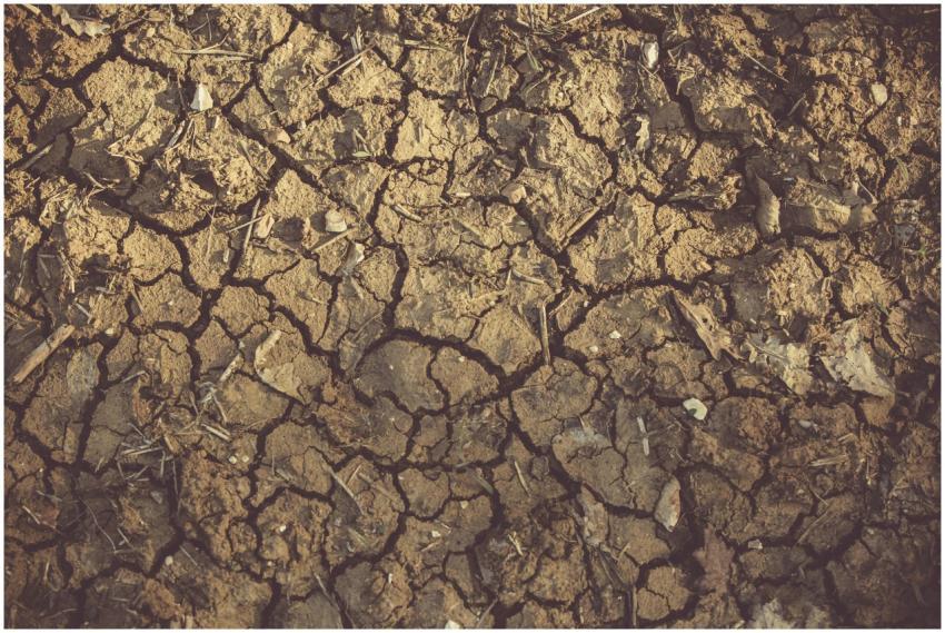 Close-up of cracked, arid soil showing detailed te