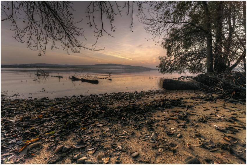 Serene Lakeside Dawn Reflections