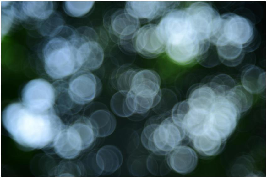 Artistic abstract image featuring circular bokeh l