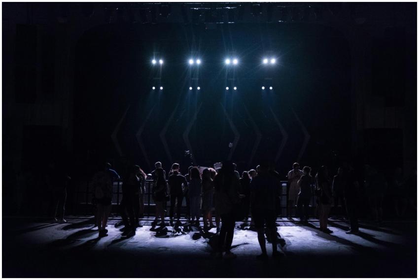 Silhouettes of a crowd gathered in front of a stag