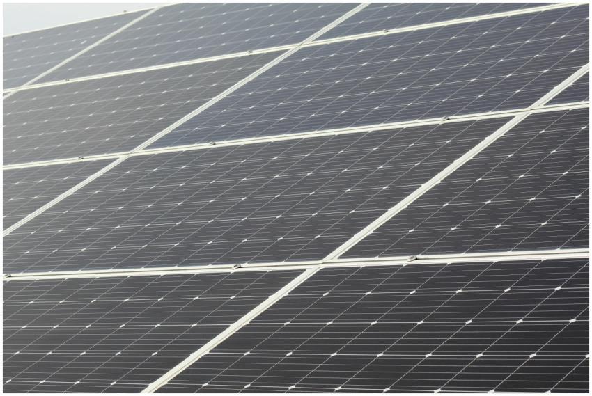 Detailed close-up of solar panels harnessing sunli