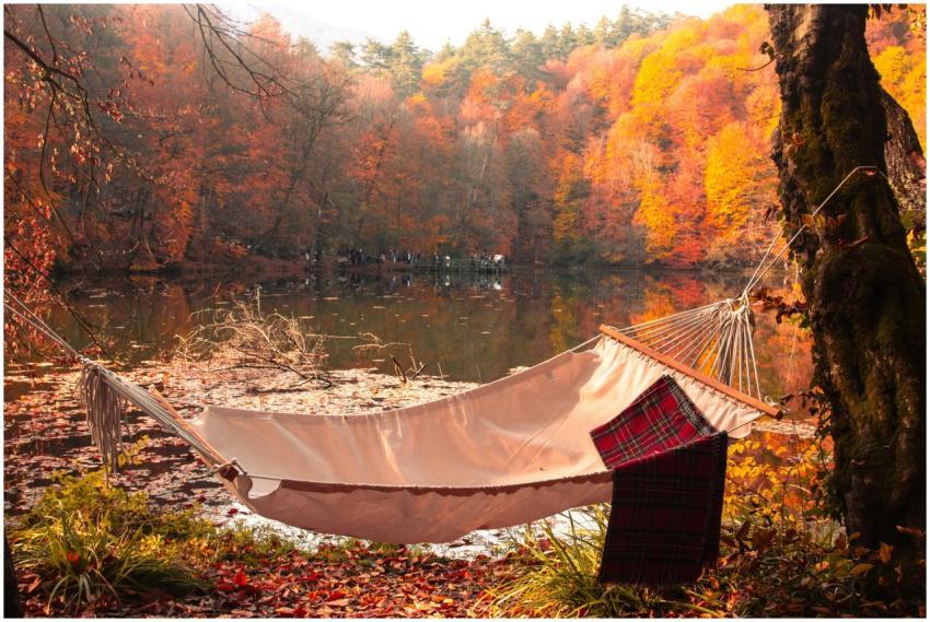 Tranquil autumn scene with hammock by a lake surro