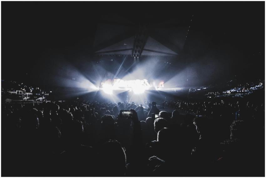 Dynamic concert scene with an energetic crowd at n