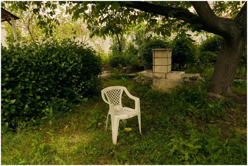 Serene garden scene with a white chair under a tre