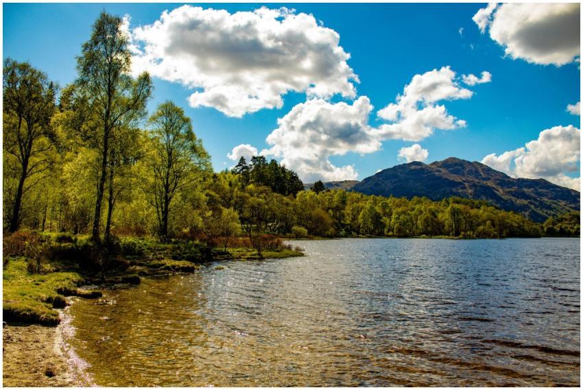 A serene landscape of a lake with surrounding tree