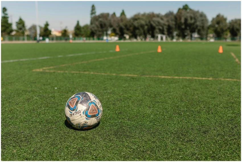 A soccer ball on a green field with training cones