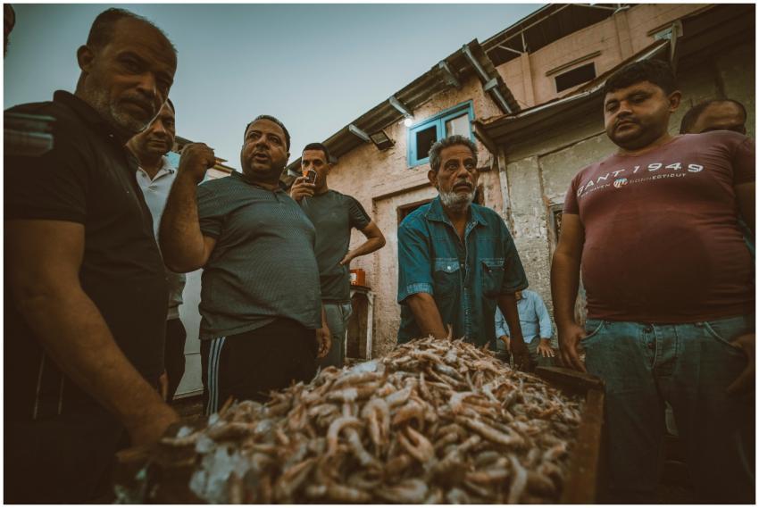 Free stock photo of 4k photos, action, adventure