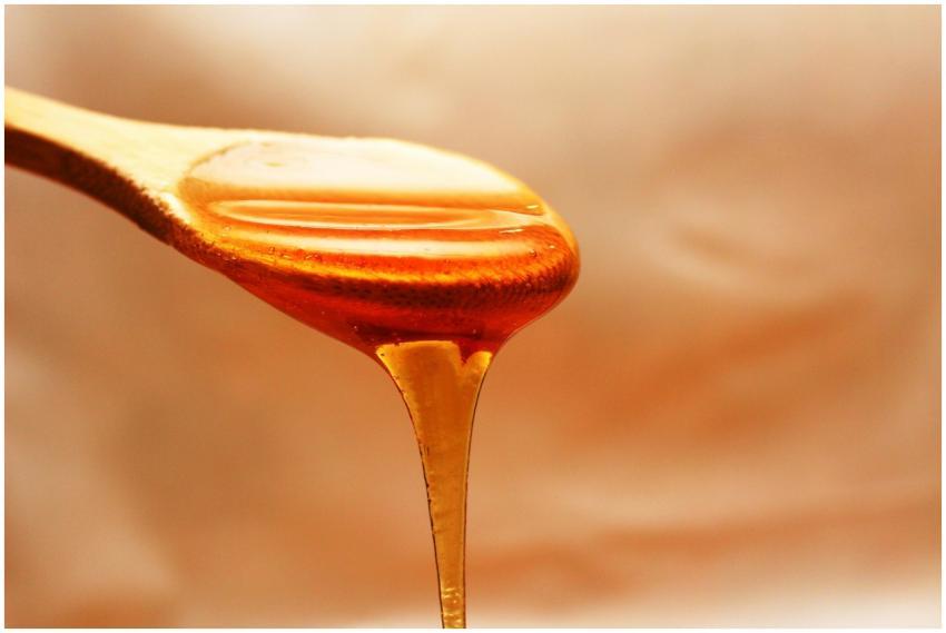 Close-up of honey dripping from a wooden spoon, sh