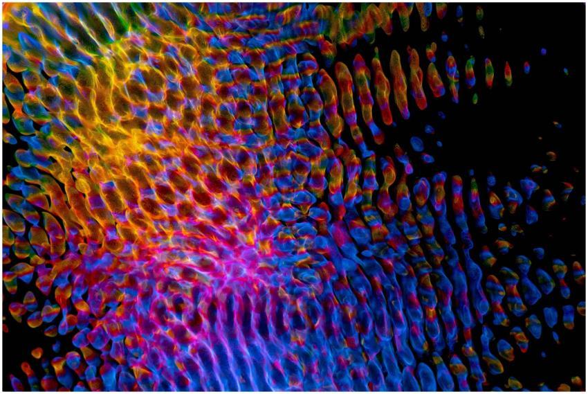 Colorful abstract pattern with dynamic ripple effe