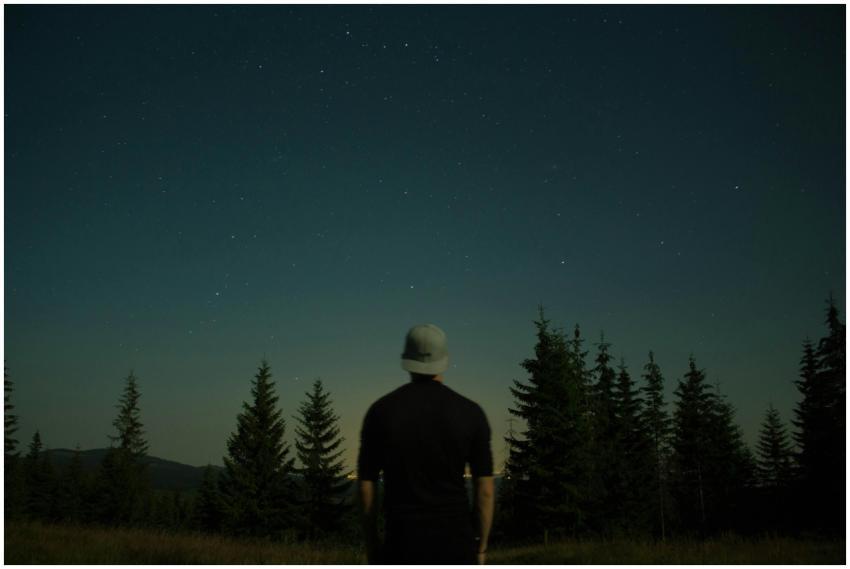 A man gazes at a starry night sky in Muntele Băişo