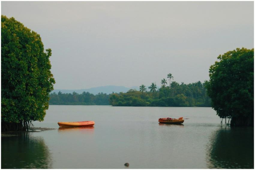 Peaceful lake view with boats and lush greenery at