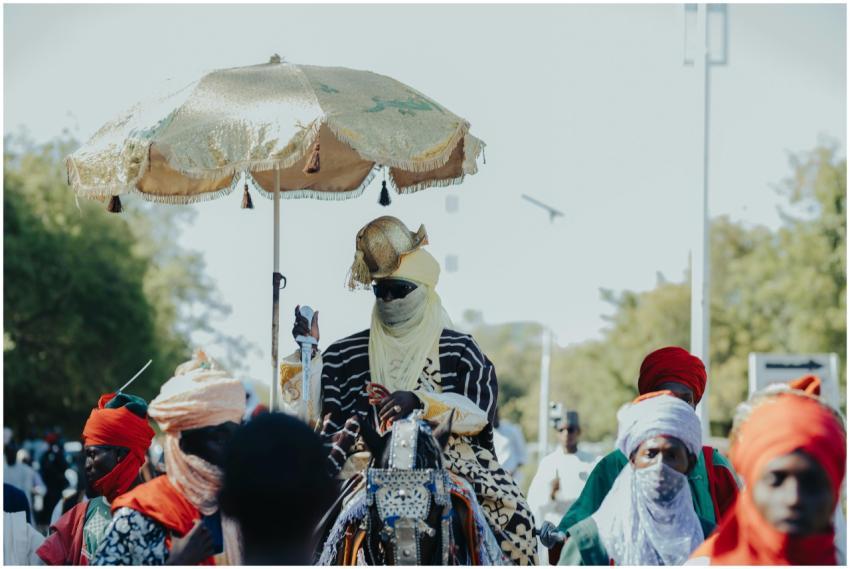Free stock photo of african culture, carnival