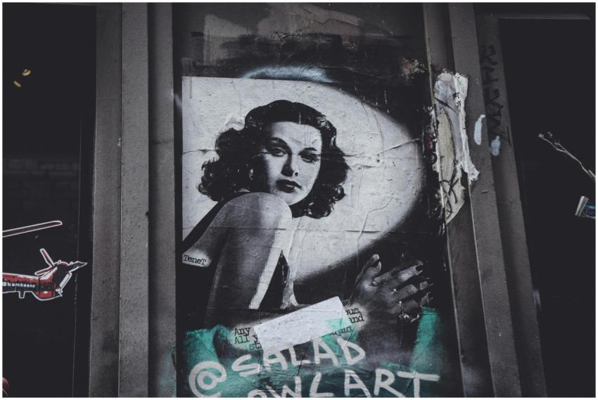 Artistic black and white street art portrait displ