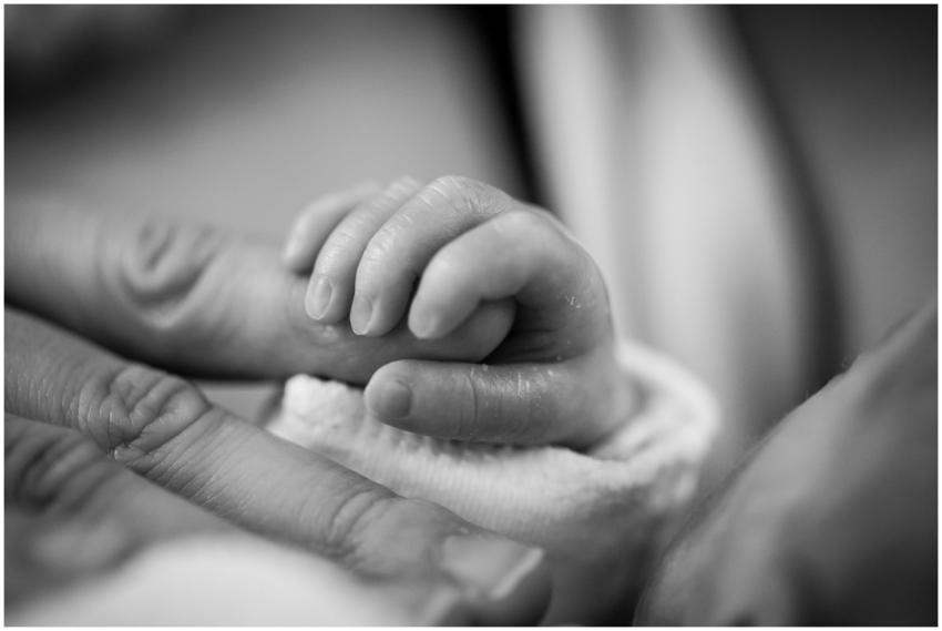 Close-up of a newborn's hand gently holding an adu