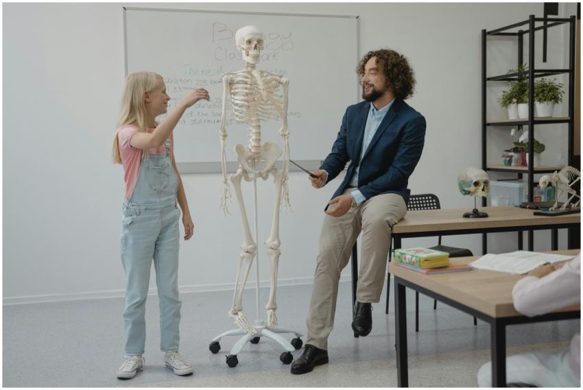 Teacher and student interact with a skeleton model