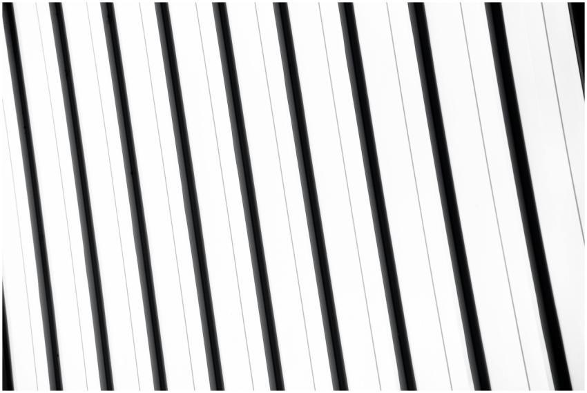 A clean, minimalist design featuring black and whi