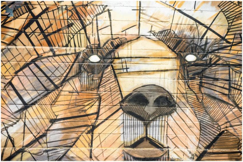 Vibrant geometric bear mural on urban wall, showca