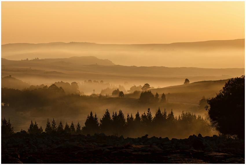 Misty sunrise over a serene valley with trees and