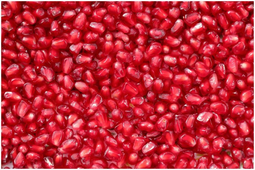 Close-up of vibrant red pomegranate seeds with a g