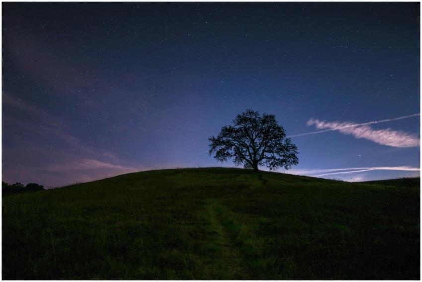 A tranquil starry night sky over a grassy hill wit