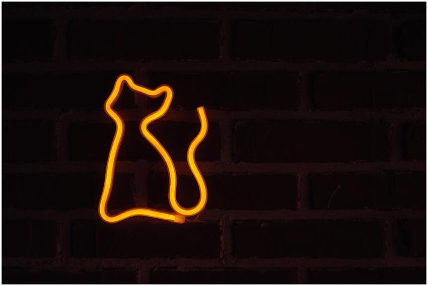 A glowing neon sign of a cat silhouette mounted on