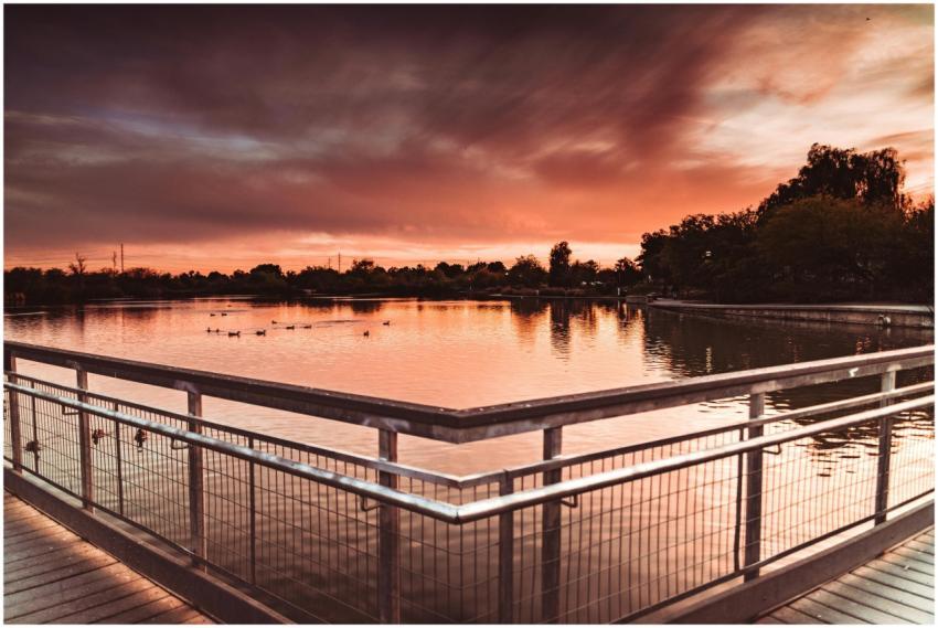 Peaceful sunset scene with ducks swimming in a ref