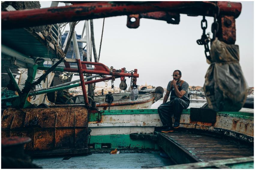 Free stock photo of award, background, beauty