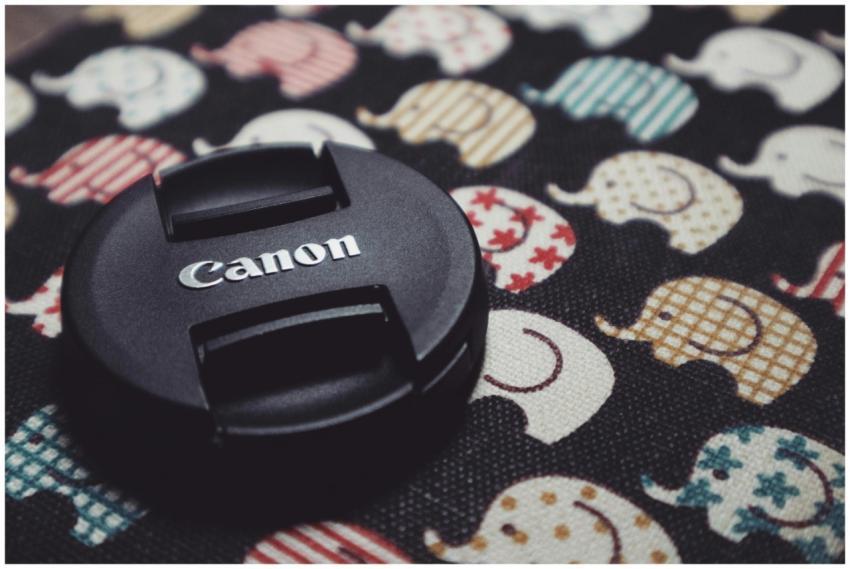 Canon lens cap on whimsical fabric with colorful e