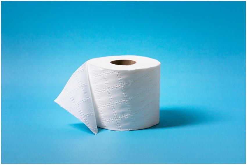 A single roll of toilet paper is isolated against