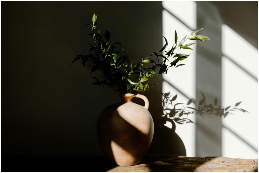 A minimalist-style ceramic vase adorned with lush