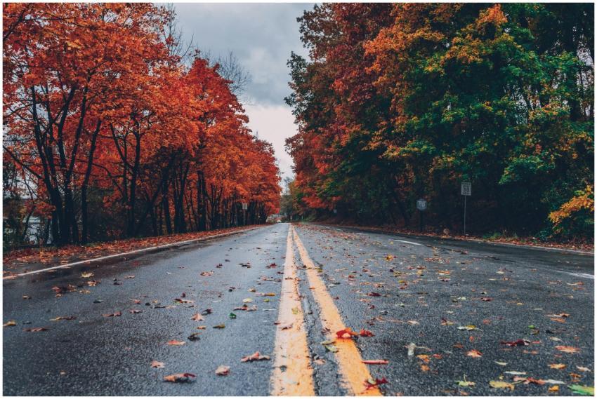 A vibrant autumn scene with colorful foliage linin