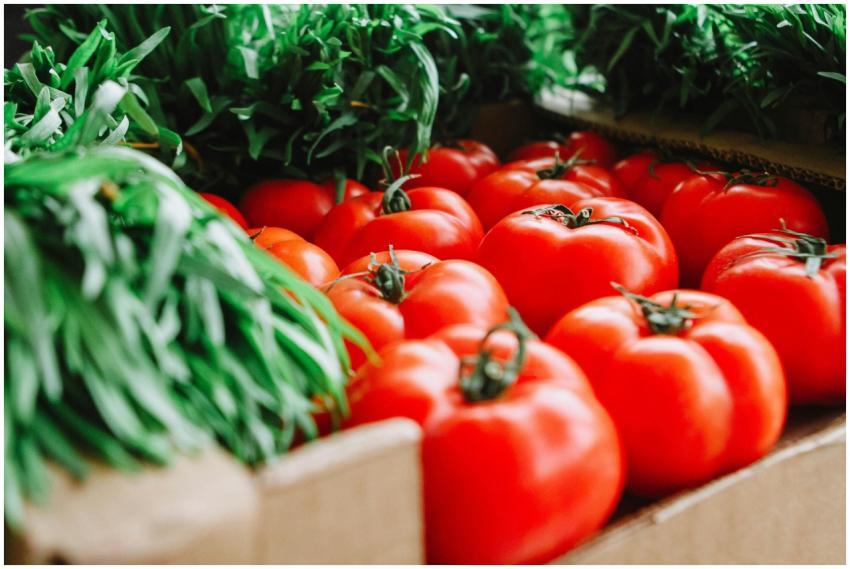 Vibrant red tomatoes and fresh greens displayed at