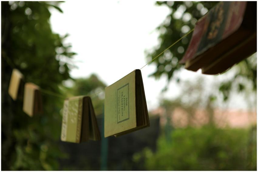 Books hanging on a line outdoors with blurred natu