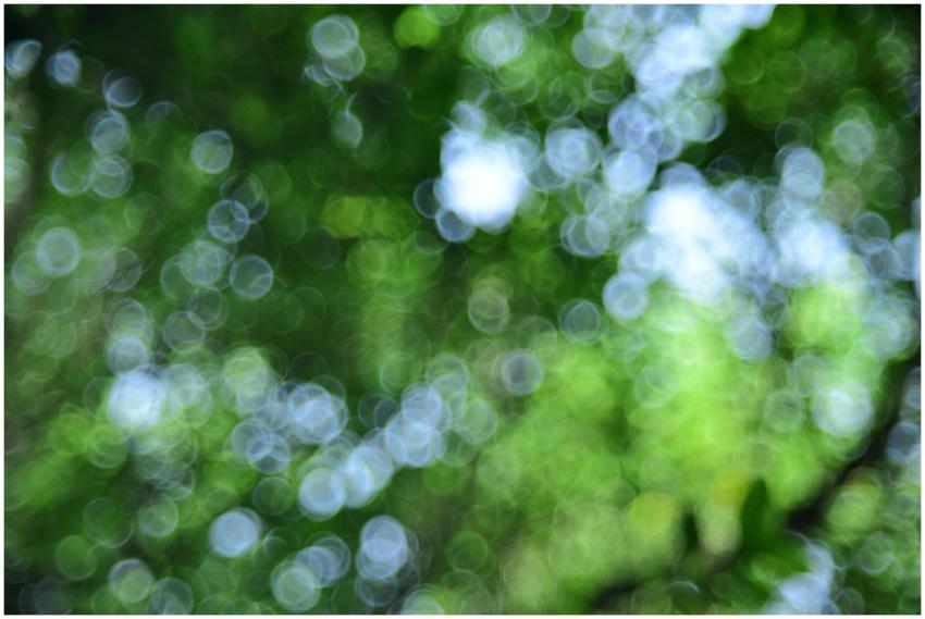 Abstract image of green and blue bokeh light throu
