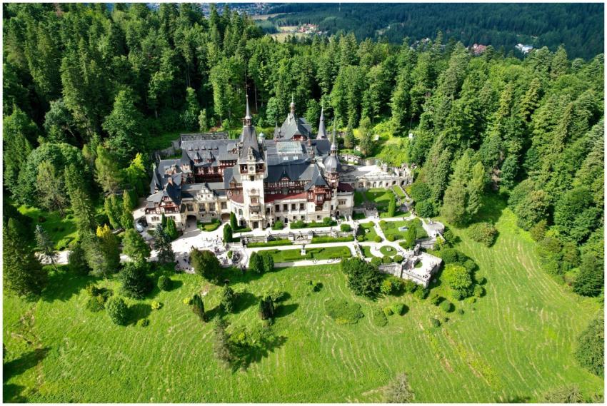 Majestic Peles Castle surrounded by verdant forest