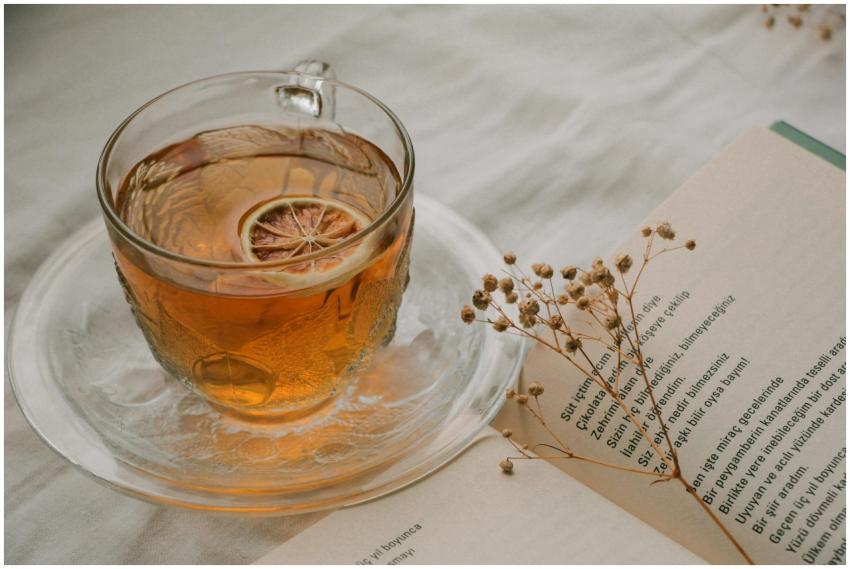 A warm cup of tea with a dried slice of lemon next